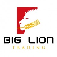 Little Lion Trading