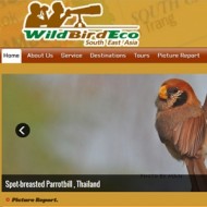 wildbirdeco