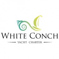 White Conch